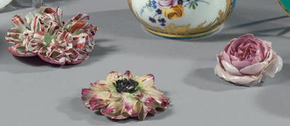 France et Allemagne Trois fleurs dont deux en porcelaine dure et une en porcelaine...