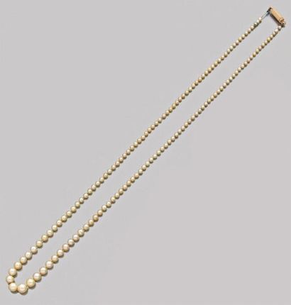 null Collier de 143 perles fines en chute, le fermoir en or jaune 18K (750).
Diam.:...