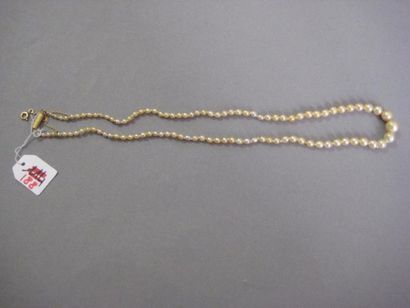 null Collier composé d'un rang de perles fines en chute.
Fermoir cylindrique en or...