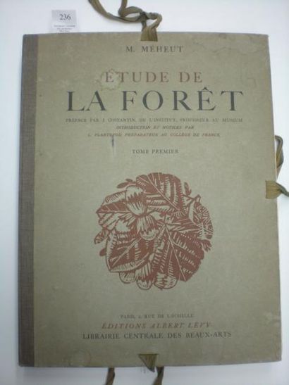 Mathurin MÉHEUT Etude de la forêt... Paris, Lévy, 1927. 2 volumes in-4, brochés avec...