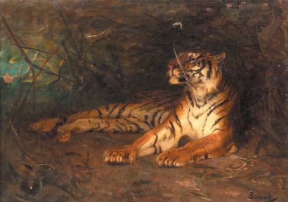 Gustave SURAND (1860-1937) 
Tigre royale dans la jungle
Huile sur toile accidents.
Signée...