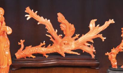 null Branche de corail rouge sculptée d'un phénix. Larg. : 23,5 cm. G.R.