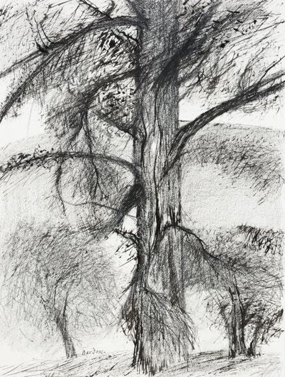Guy Bardone (1927-2015) «Le grand pin en Provence, 2003»
Encre sur papier.
Signé...