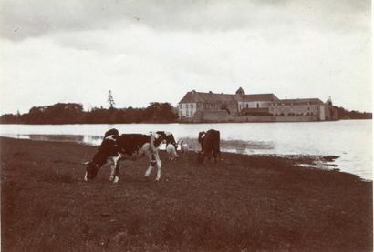 null ETIENNE WALLON. Paimpont, deux photographies vers 1900. Tirages argentiques...