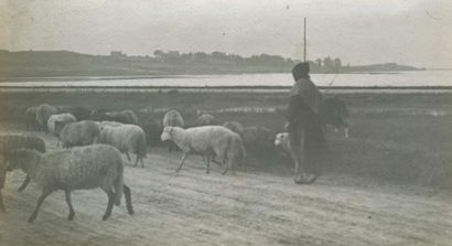 null Photographe anonyme. Goulven, bergère et ses moutons sur la grève, vers 1910....