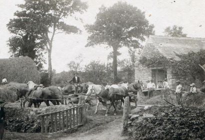 null Photographe non identifié. Morlaix, battage du blé, vers 1905. Tirage argentique...