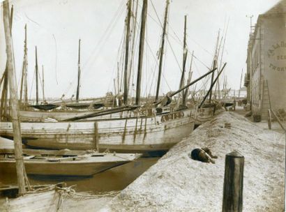 null WIDE WORLD PHOTOS. Morbihan, thoniers au port, vers 1935. Tirage argentique...