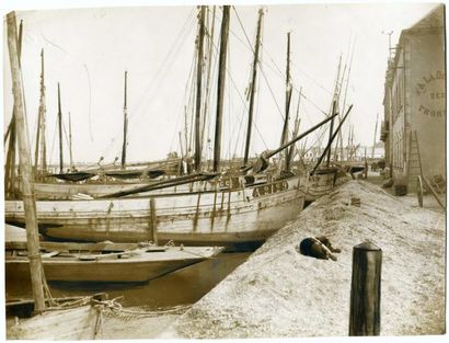 null WIDE WORLD PHOTOS. Morbihan, thoniers au port, vers 1935. Tirage argentique...