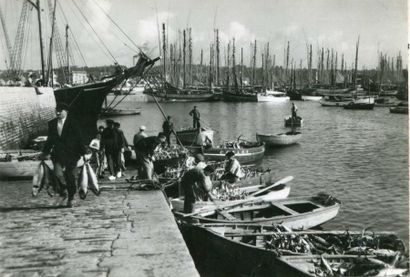  Photographe non identifié. Concarneau, arrivée du thon, vers 1940. Tirage argentique...