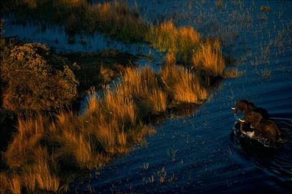 null Yann ARTHUS-BERTRAND
Eléphants dans le delta de l'Okavango
Tirage couleur contrecollé...