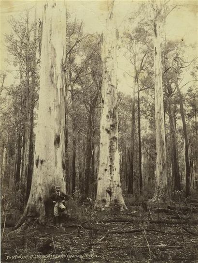 null John Watt BEATTIES (1859-1930). Australie, six photographies vers 1880. Tirages...