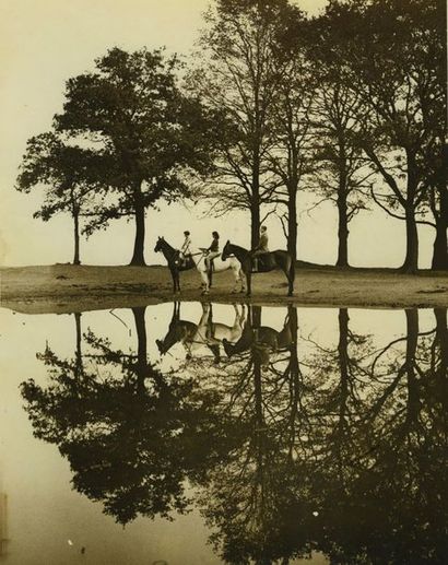null HIPPISME. Ensemble de seize photographies (16) 1880-1930. Tirages albuminés...