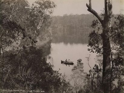 null COOPER & Co. Australie, cinq (5) photographies vers 1890. Tirages albuminés...