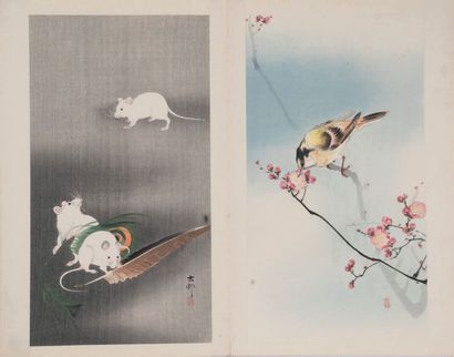 null Album comprenant 12 oban tate-e représentant des oiseaux parmi les fleurs, dont...