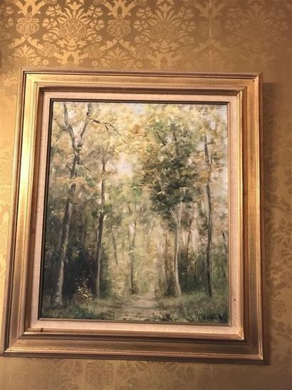 null La forêt en automne
Huile sur toile signée en bas à droite "SADAY"
54 x 45 ...