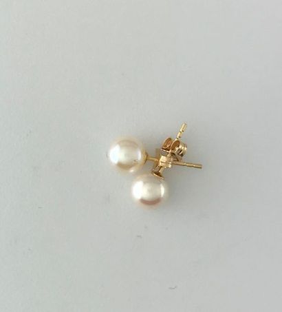 Pair of 750°/°° gold ear chips with 6,5 mm...