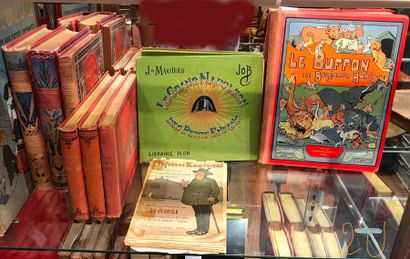 null Lot de 10 livres d'enfantina : Verne, Job, Topffer, Rabier, Hansi Histoire de...