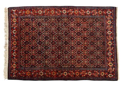 null Carpet SENNEH (Iran), mid 20th century; Technical characteristics: Wool velvet...