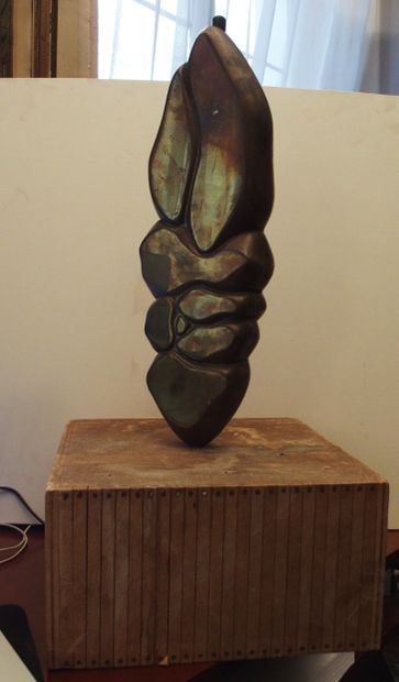 *Minoru KANO(1930-2007)

K 95 Oiseau, 9/07/1995

Bronze...