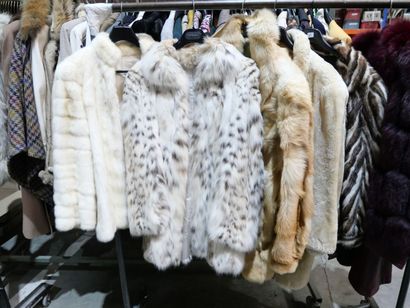 Lot de 8 manteaux et vestes en fourrure Lot de 8 manteaux et vestes en fourrure dont...