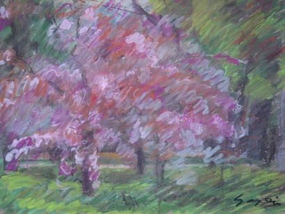 Pierre GOGOIS L'arbre rose: pastel, signé en bas à droite. Dim: 30 x 40 cm