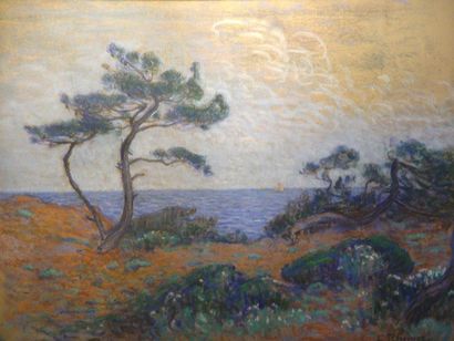 Louis RHEINER (1863 – 1924) Cote méditerranéenne 

Pastel

49 x 64 cm
