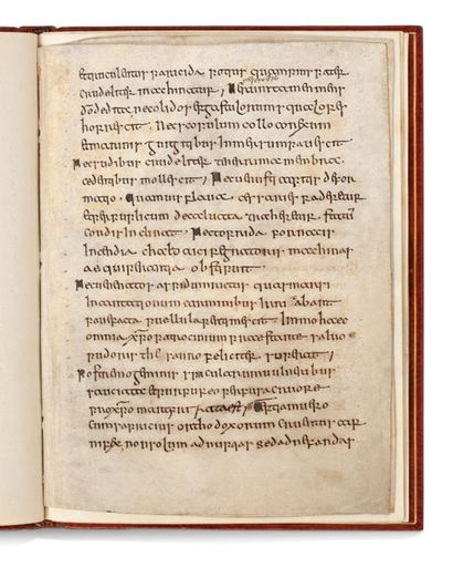 ALDHELM (SAINT) (vers 639-709) Bishop of Sherbourne, Latin poet and scholar. Two...