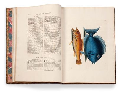 CATESBY MARK (1683-1749). Naturaliste et artiste anglais. The Natural History of...