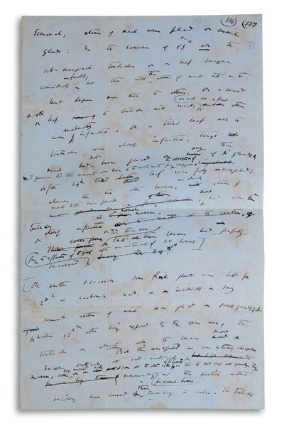 DARWIN Charles (1809-1882) Autograph MANUSCRIPT, [circa 1875 ?]; 2 pages in-4 format...