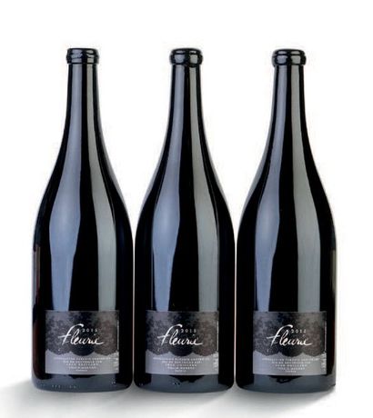 null FLEURIE 2015 JEAN FOILLARD 3 magnums