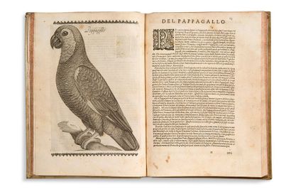 OLINA (Pietro) 
Uccelliera overo discorso della natura, e proprieta di diversi uccelli....