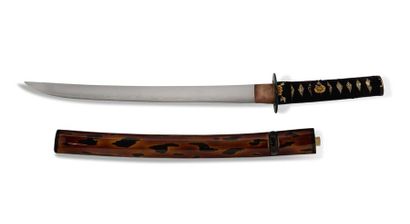 JAPON ÉPOQUE SHINSHINTO (1781-1876) 
Wakisashi in the form of hira zukuri mumei,...