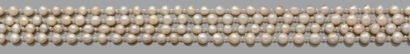 Sautoir "PERLES FINES"
Ensemble de 174 perles supposées fines - non testées - alternées...