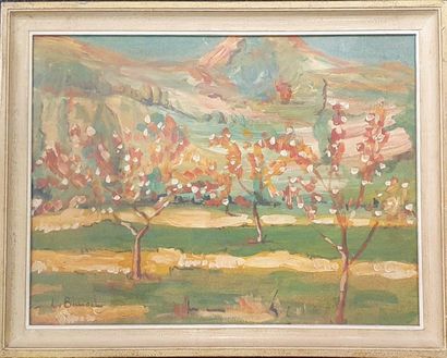 Louis BAUSIL (1876-1945) Louis BAUSIL (1876-1945)

Arbres en fleurs

Huile sur carton,...