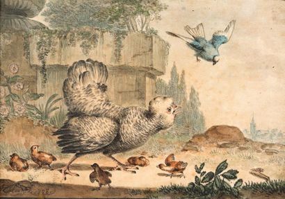 JABEZ HEENCK (LA HAYE, 1752 - LEYDE, 1782) Poule et oiseaux
Dessin aquarellé
12 x...