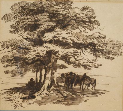 HIPPOLYTE BELLANGÉ (PARIS, 1800 - 1866) Tree
study Brown ink
20 x 22 cm
Signed "Hy....