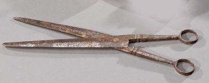 null Paire de ciseaux en fer forgé 18ème siècle L: 33 cm