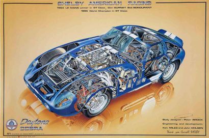 null PETER BROCK 

Coupe de Shelby Cobra Daytona

68 x 96 cm

Très bon état
Click...
