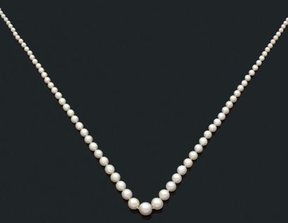 COLLIER «PERLES FINES» Composé d'une chute de 86 perles fines et 1 perle de culture....