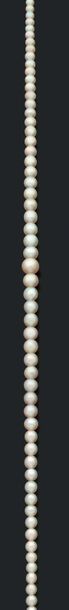 COLLIER «PERLES FINES» Chute de 102 perles...