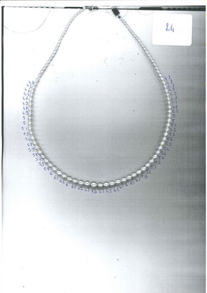 null COLLIER «PERLES FINES»
Chute de 102 perles fines, fermoir diamants, or 18K (750).
Pb.:...