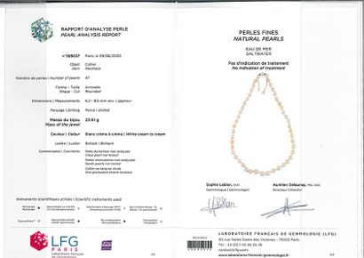 null NECKLACE "PERLES FINES"
Drop of 47 fine pearls.
Pb: 22.6 gr
Accompanied by a...