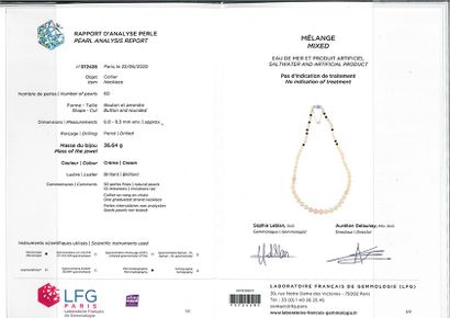 null NECKLACE "PERLES FINES"
Drop of 50 fine pearls and 10 fancy pearls.
L.: 46 cm...