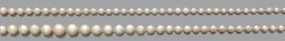 COLLIER «PERLES FINES» Chute de 71 perles...