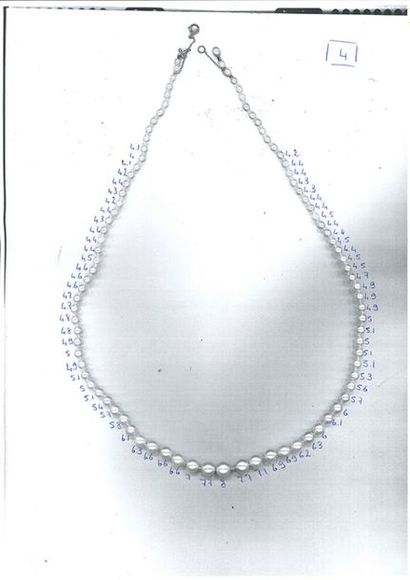 null NECKLACE "PERLES FINES"
Fall of 71 fine pearls and 22 cultured pearls.
Pb: 18.8...