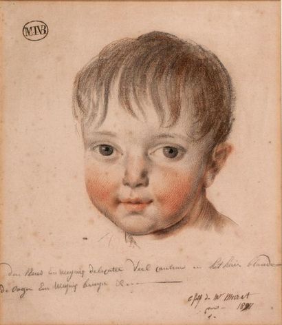 MATHIEU-IGNACE VAN BREE ANVERS, 1773 - 1839 
Portrait de Lucien Napoléon Charles,
3ème...