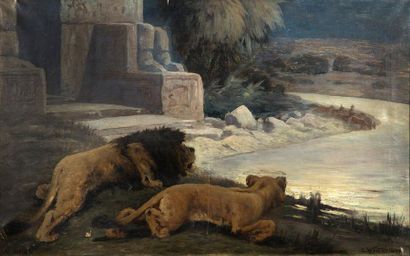 Gustav WERTHEIMER (1847-1904) 
Les lions à l'affut
Huile sur toile, signée en bas...