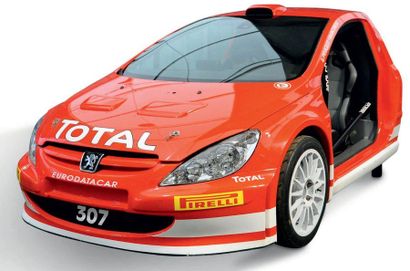 Peugeot 307 WRC Simulateur de conduite reprenant la forme d'une 307 WRC Echelle 1
Console...