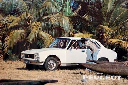 Peugeot 504 - 604