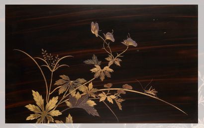 Japon Période Meiji (1868-1912) 
Trois panneaux en laque imitant le bois, à décor...